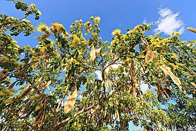 《恶意不息》开发商CEO谈微软关闭工作室：这就是被收购的结局